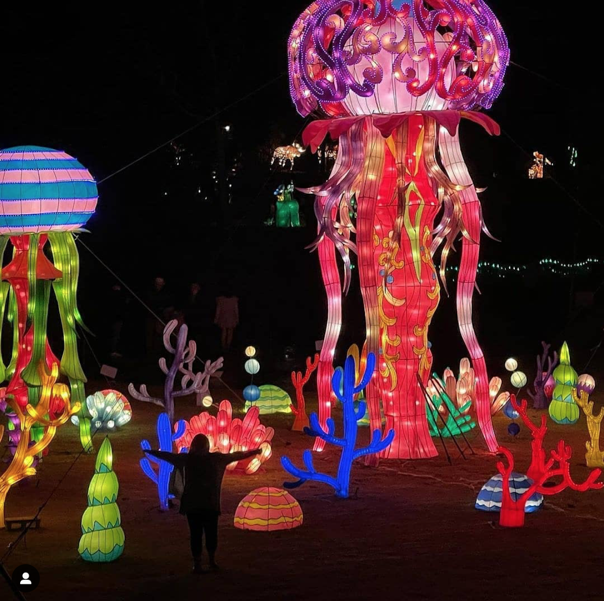 Birmingham's Best Light Displays About Town